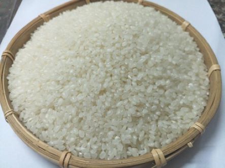Gạo Nhật FUJI SAKURA 2kg