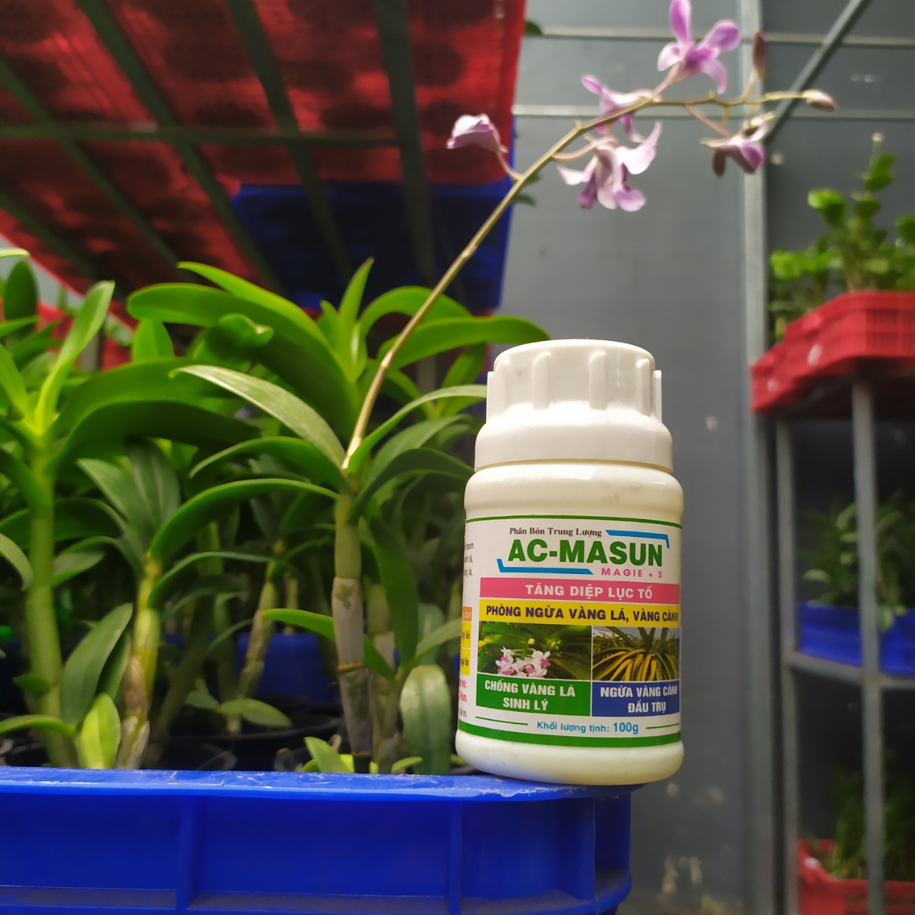 Phân bón bổ sung trung lượng AC - MASUN (Magie Lưu Huỳnh)