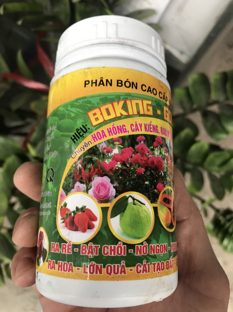 Hũ 200gr phân bón chuyên dùng Hoa Hồng Rau Màu Cây Kiểng siêu kích rễ kích mầm kích hoa