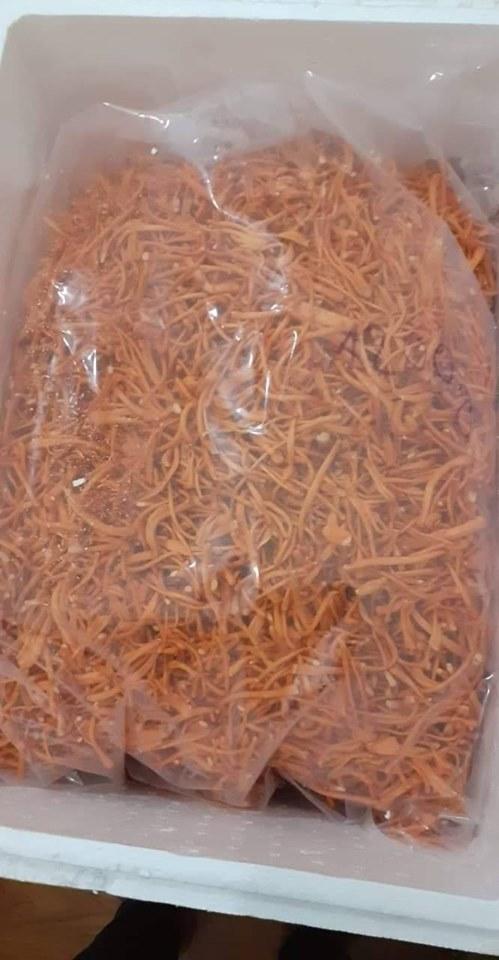 [HCM]10G Đông Trùng Hạ Thảo Khô Sấy Thăng Hoa