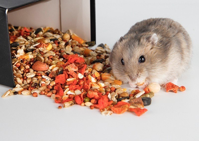 thức ăn  Bucastate H1 - H2 dành cho hamster , rat, mice, dumbo, đuôi mập,...