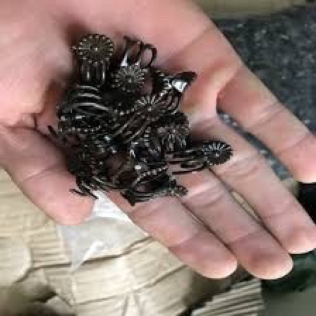 Kẹp Bướm Nhỏ Cố Định Hoa Lan Gói 50 Chiếc