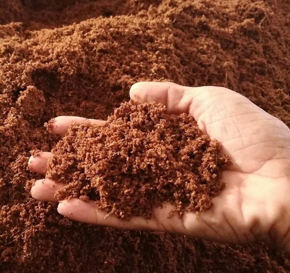 XƠ DỪA ĐÃ QUA XỬ LÝ ( GÓI 1 kg)