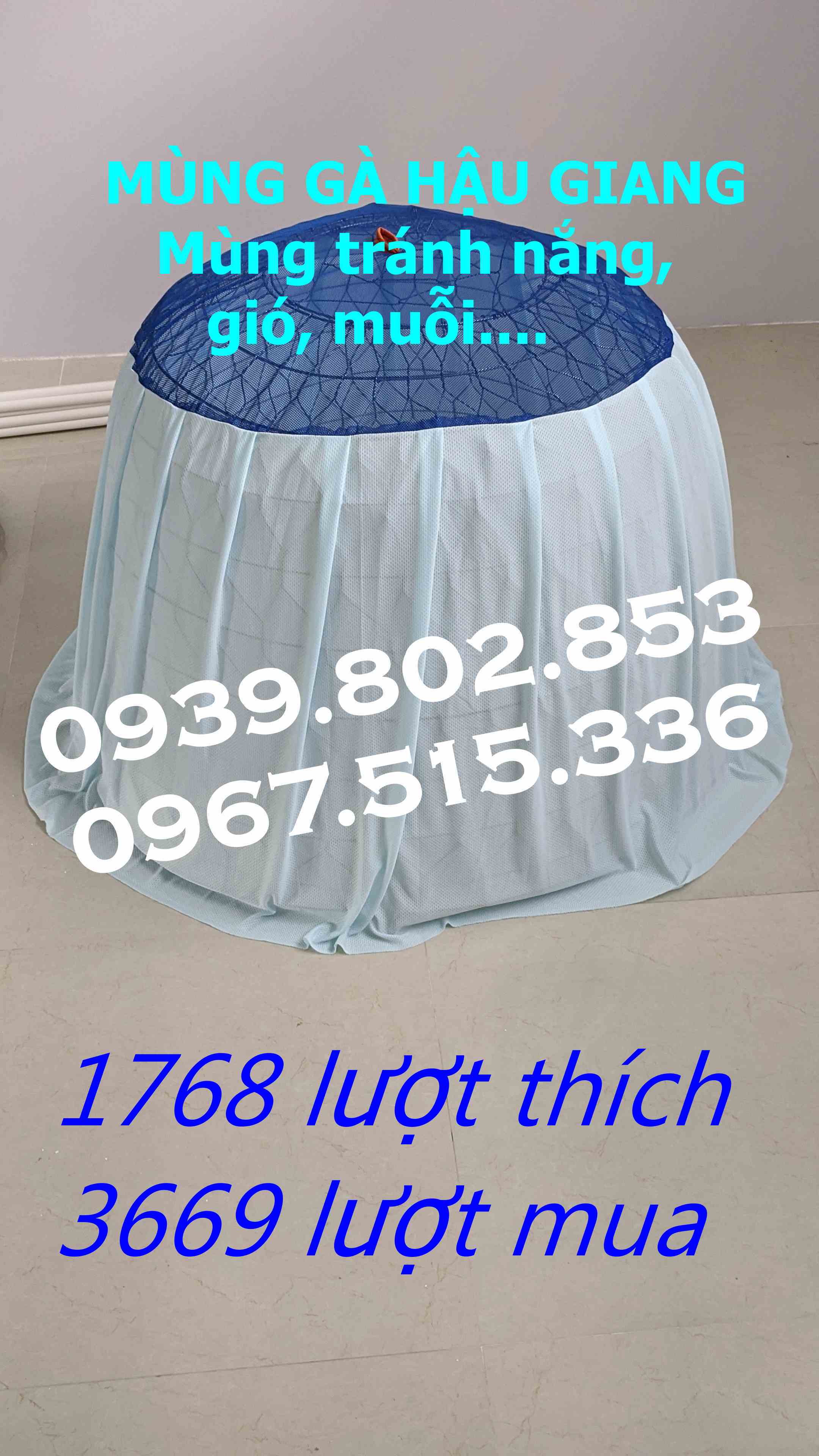 mùng trùm bội gà tre 90cm