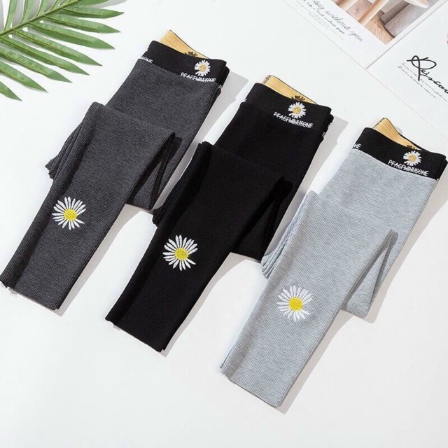 Quần legging hoa cúc freesz 40-58kg