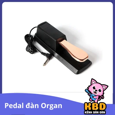 [HCM]Pedal đa năng WTB - Bàn đạp tạo tiếng vang Sustain Keyboard Pedal cho đàn Organ Piano...
