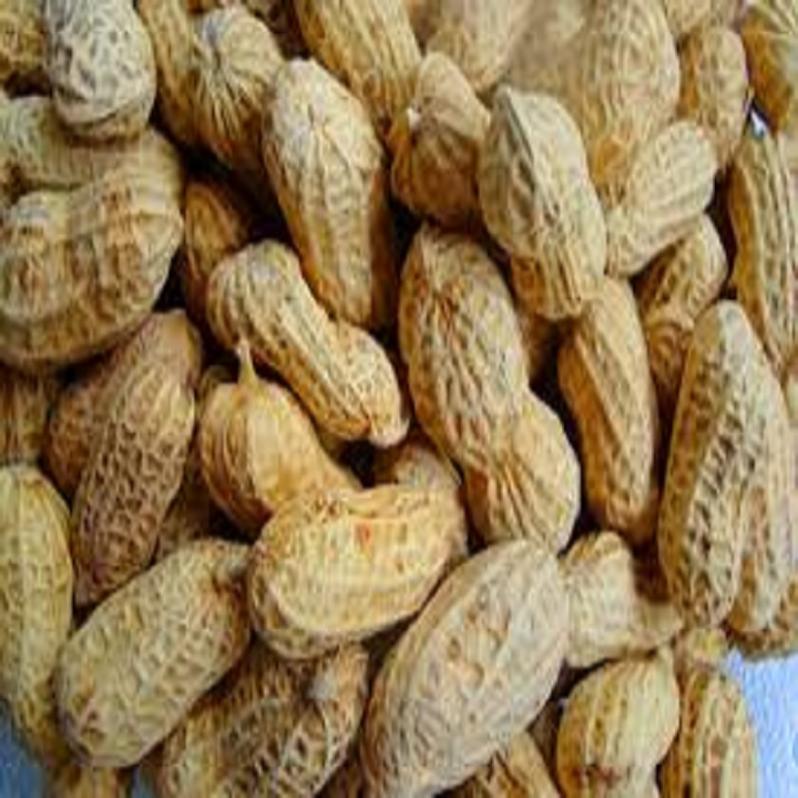ĐẬU PHỘNG RANG CÒN VỎ 1 BỊCH 450G