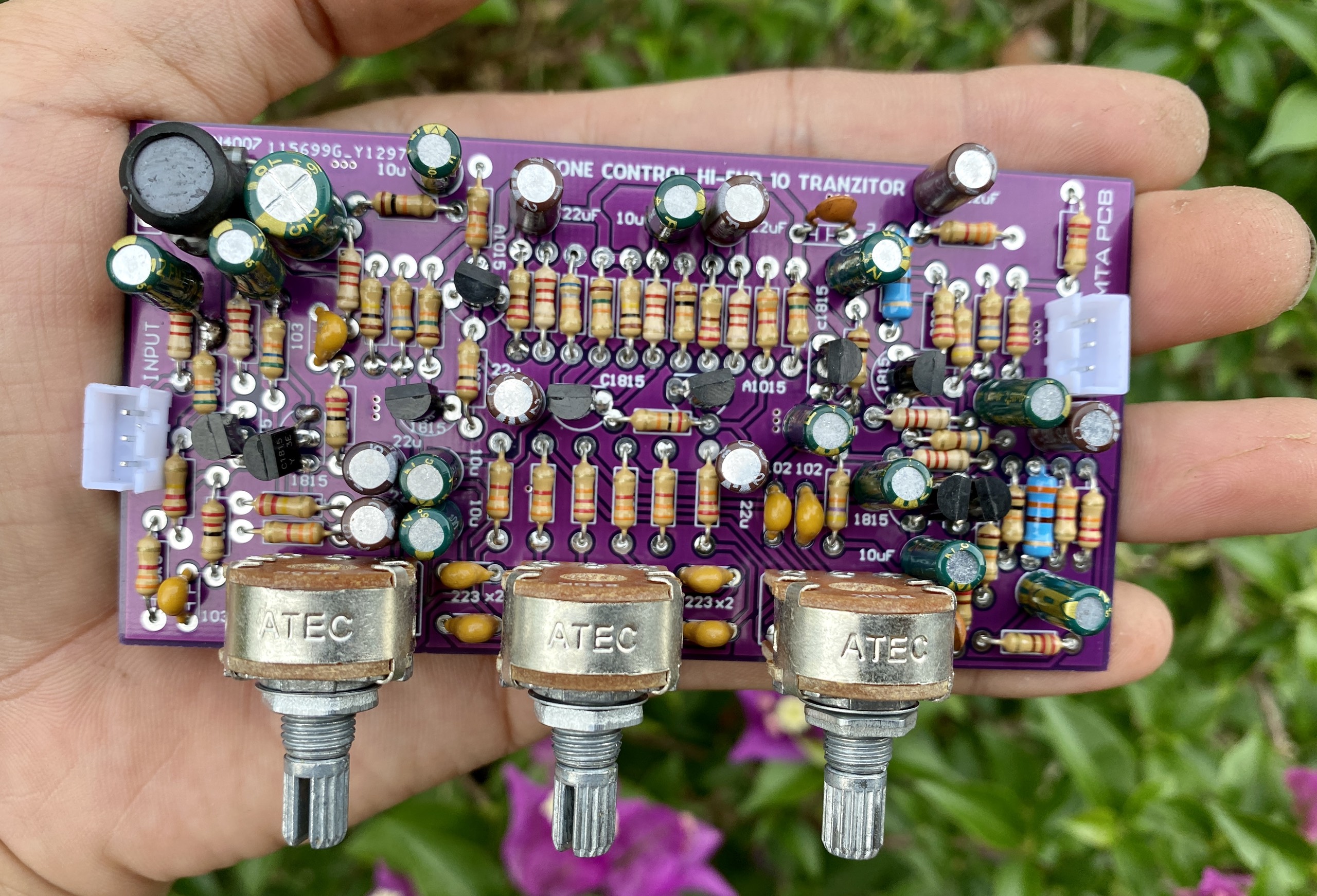 Mạch âm sắc Hi-end 12V 2 kênh