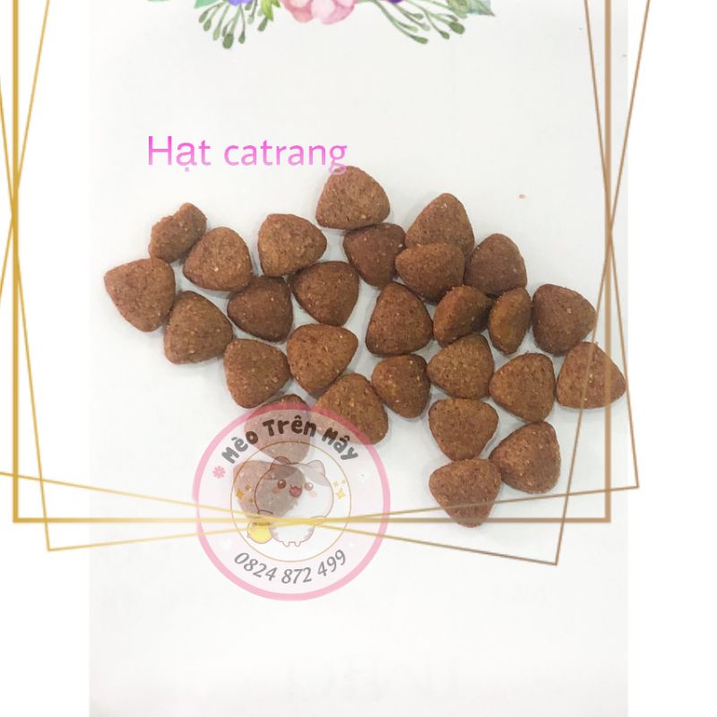 1KG hạt CATRANG túi zip đỏ date mới