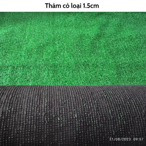 ( 1mét x 1mét) Tấm cỏ nhân tạo giá rẻ  (11 loại cỏ, quý khách đọc kỹ mô tả)