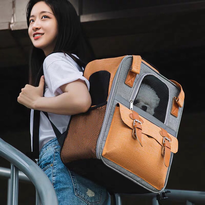 Balo cho mèo - balo đựng mèo size lớn