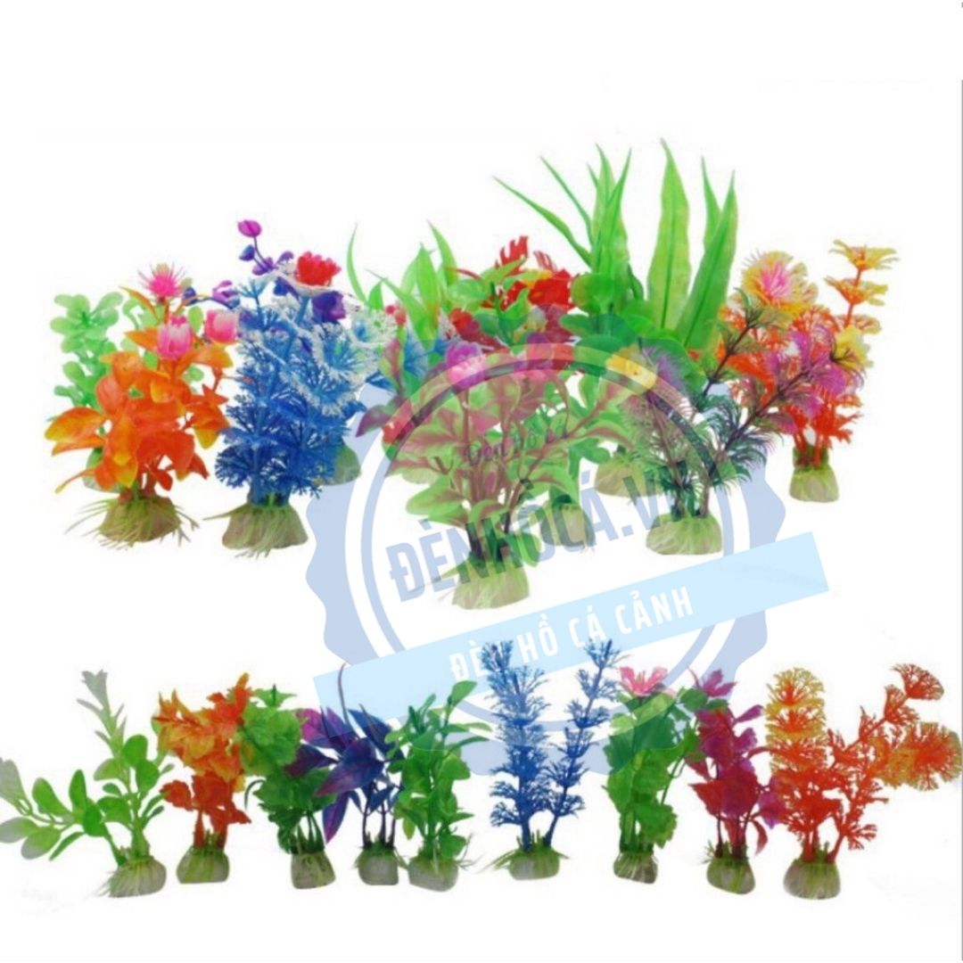 CÂY CẢNH MINI TRANG TRÍ HỒ CÁ