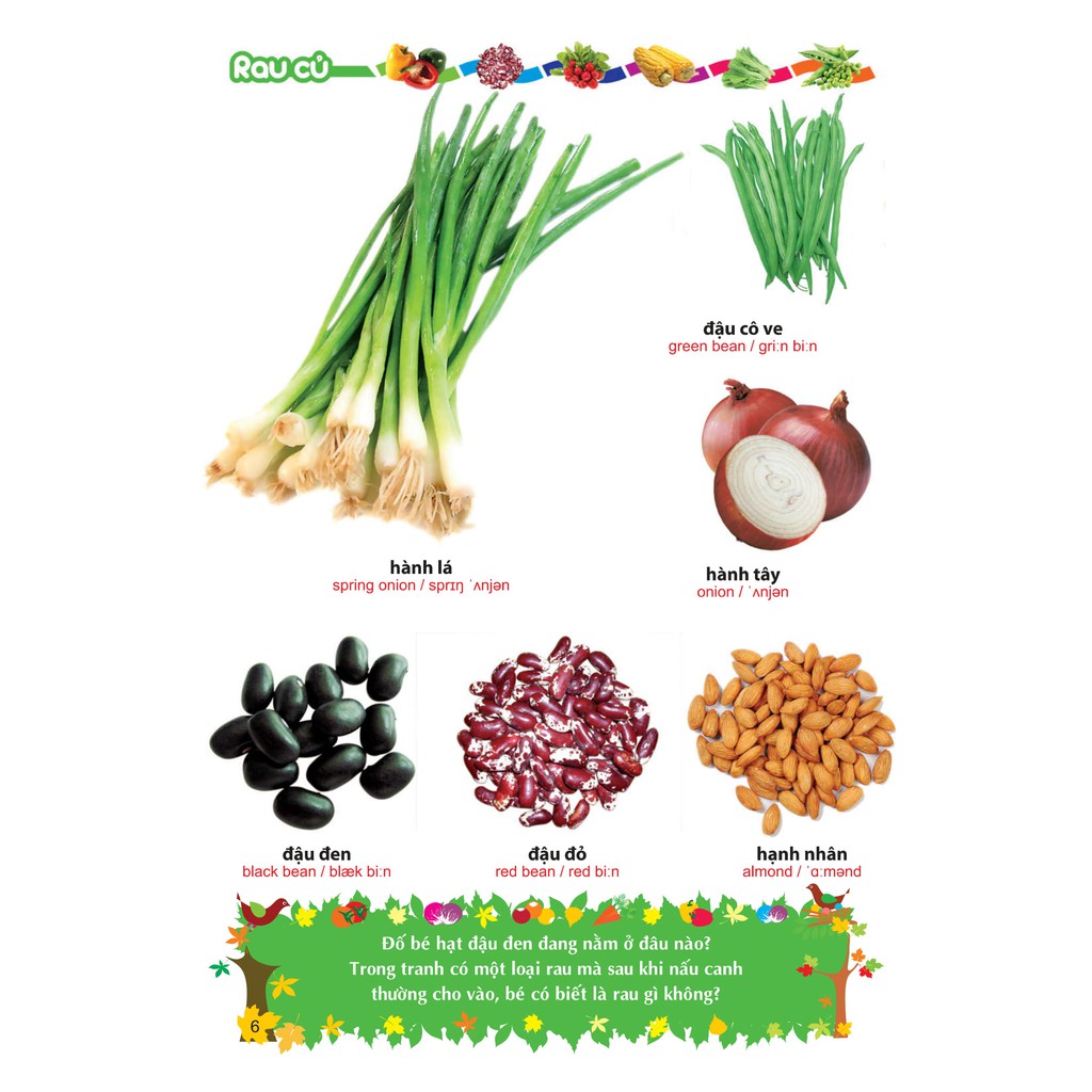 Sách- Từ Điển Tranh Về Rau - Củ - Quả - Hoa (ML)