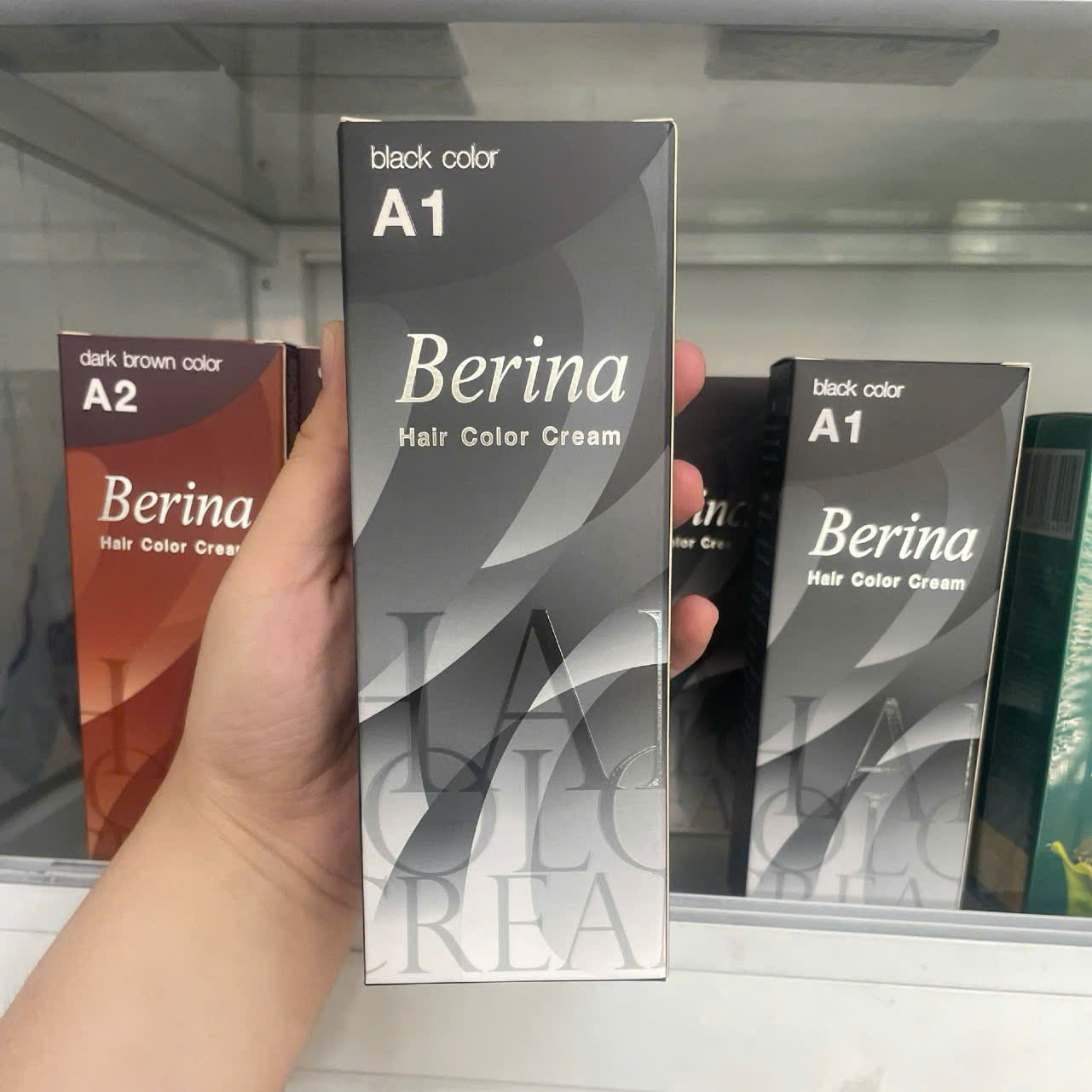 Berina Hair Dye with Thai Silver Coating