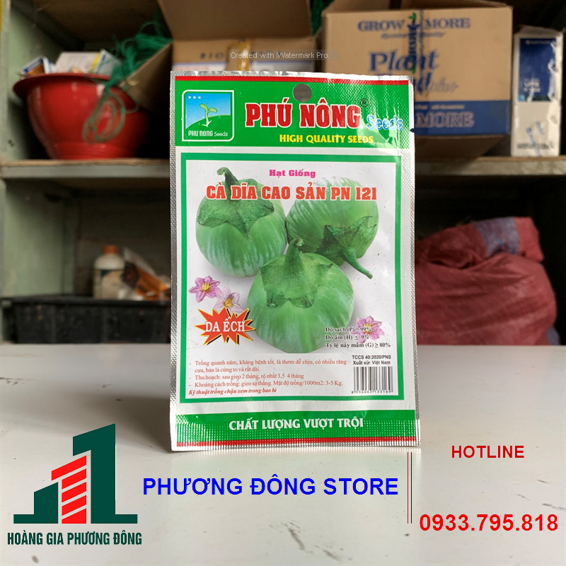 Hạt giống cà dĩa da ếch gói 500mg