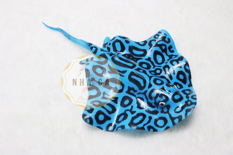 CÁ ĐUỔI DA BEO - PHỤ KIỆN TRANG TRÍ – PHỤ KIỆN HỒ CÁ – THỦY SINH