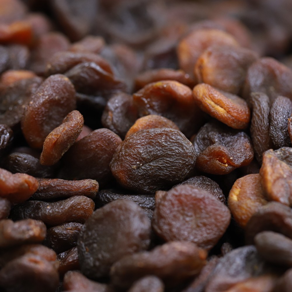 Sun Dried Apricot (Gun Kurusu)