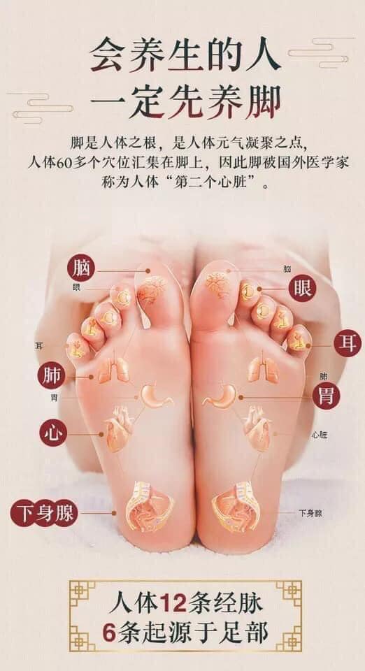 Gói 100 túi ngâm chân thảo dược