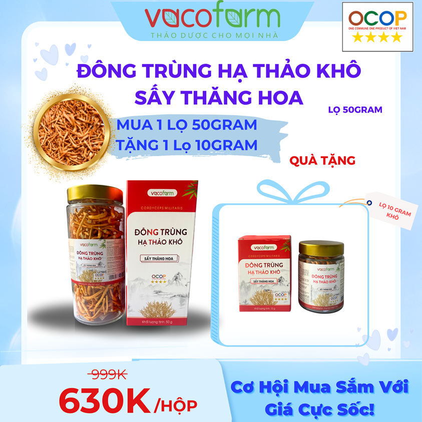 Combo Hộp đông trùng sấy thăng hoa Vacofarm 50gram + Lọ đông trùng sấy thăng hoa Vacofarm 10gram