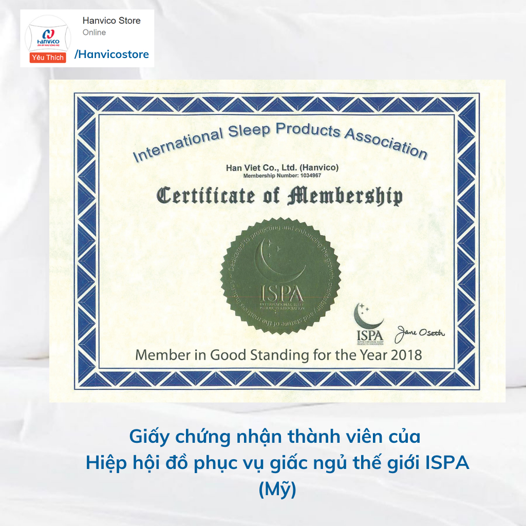 Ruột gối ôm Hanvico cao cấp