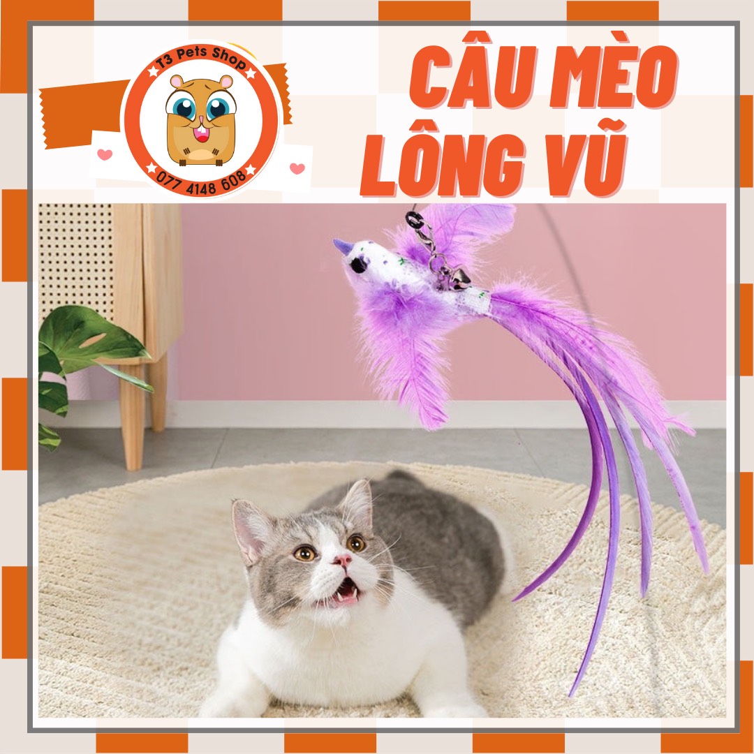 đồ chơi Cây câu mèo dài và lông vũ bằng thép - T3 PETS SHOP