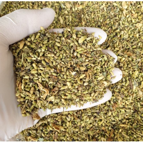 Hoa hòe, nụ hòe thơm ngon 1kg