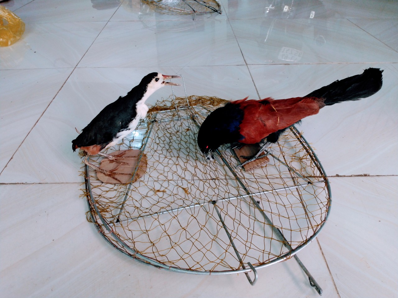 Cuốc mồi giả nhồi keo bao bền