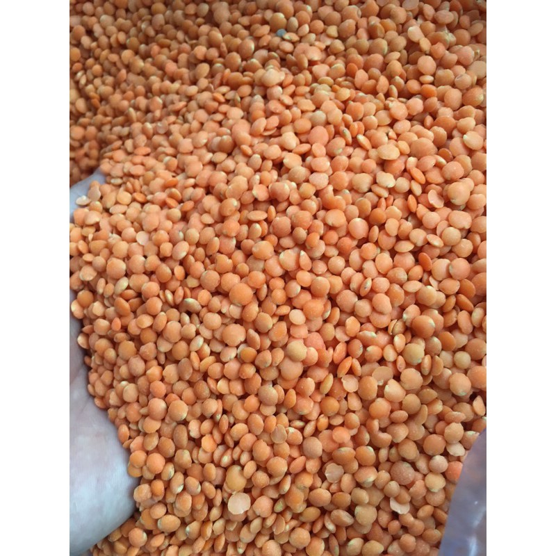 Đậu lăng đỏ thơm ngon (Gói 1kg hút chân không)
