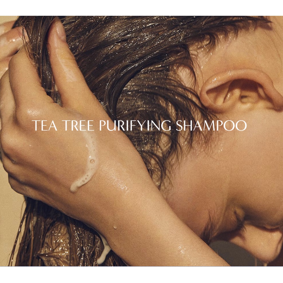 [Nhacuabeautyholic] Dầu gội kiềm dầu AROMATICA TEA TREE PURIFYING SHAMPOO