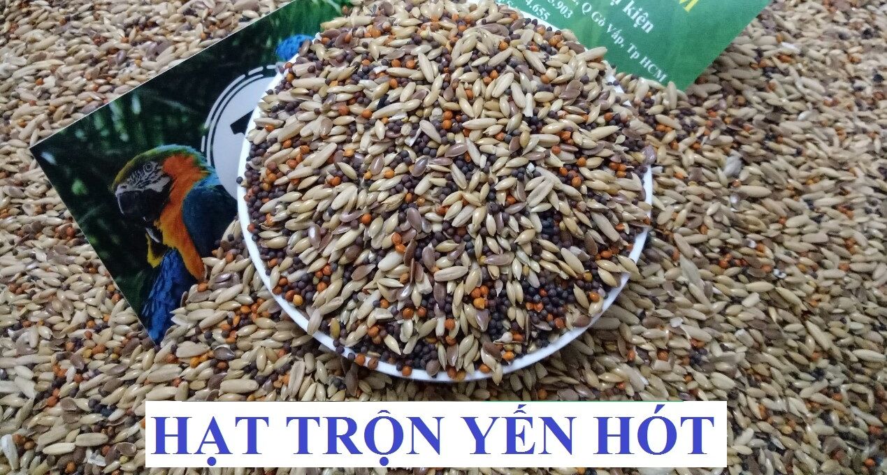 [HCM]500G HẠT TRỘN DINH DƯỠNG DÀNH CHO YẾN HÓT