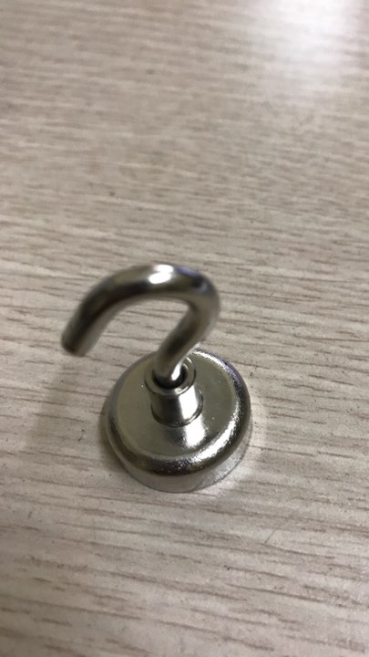 Móc treo nam châm D20mm