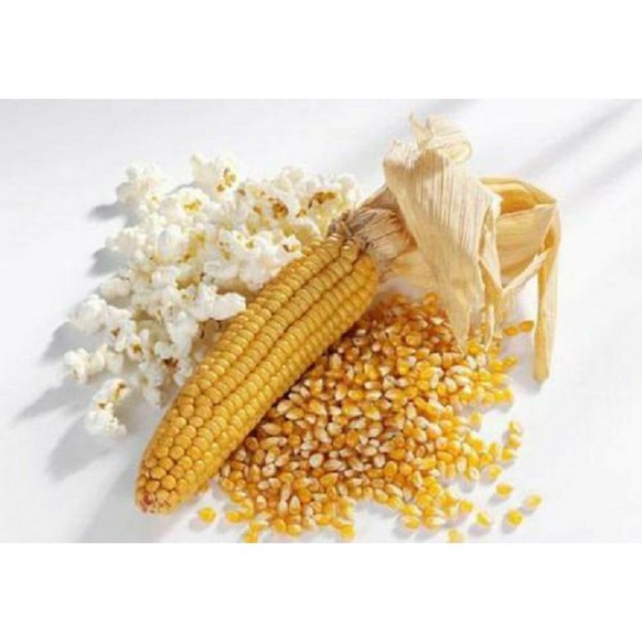 [HCM]500G NGÔ MỸ NỔ BẮP RANG BƠ (HẠT CHƯA CHẾ BIẾN)