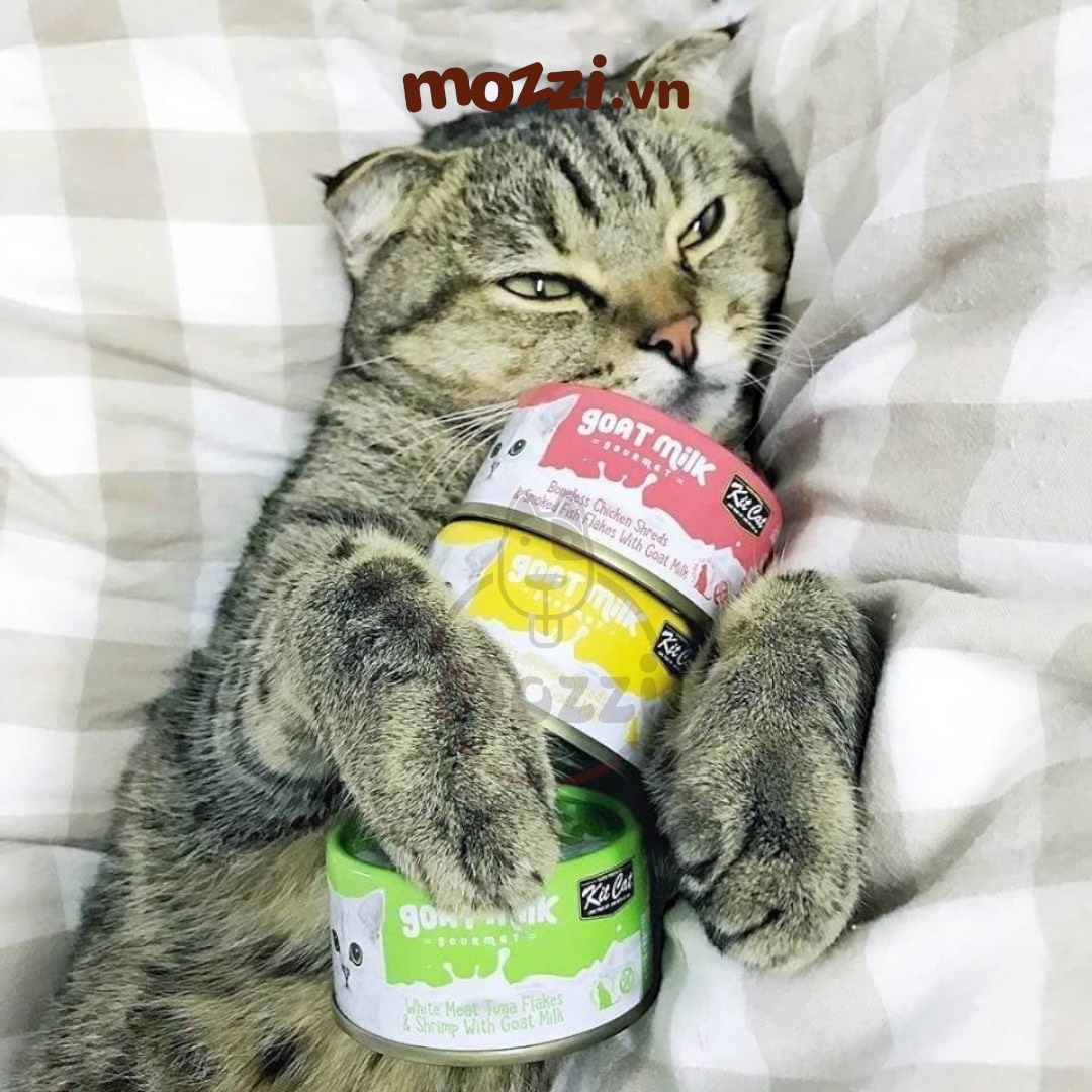 Pate for Cats Kitcat Goat Milk Pate 70Gr Can