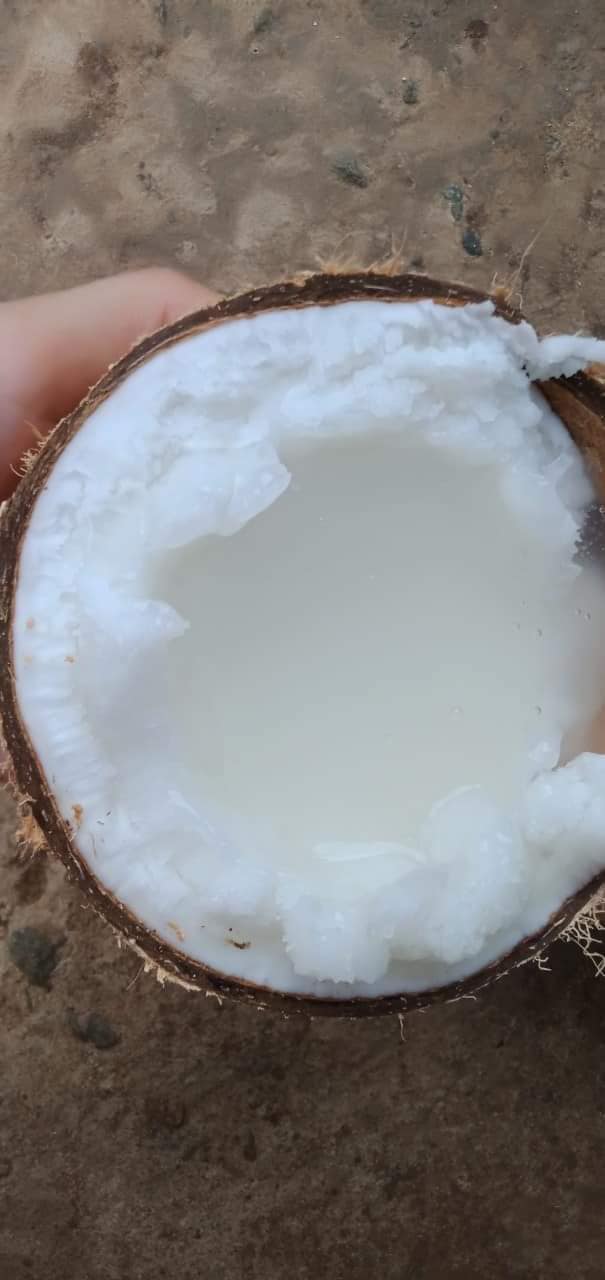 SHOP CHUYÊN D.Ừ,,A SÁ,.P CHẤT LƯỢNG