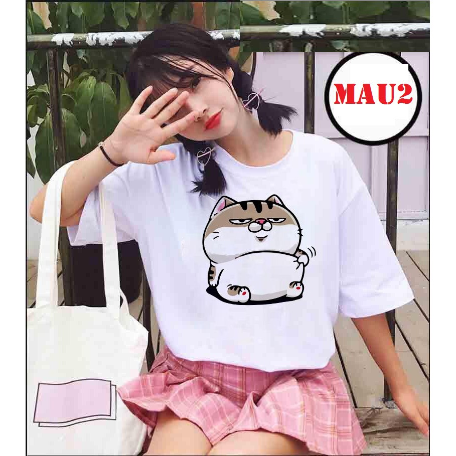 Áo phông mèo Ami bụng bự HARI0520