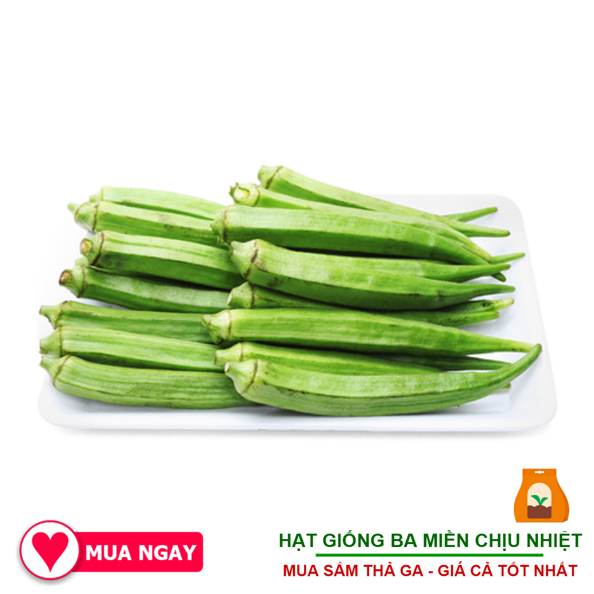 Hạt Giống Đậu bắp Ấn Độ F1 Xanh Đậm, Ngọt 50 Gram