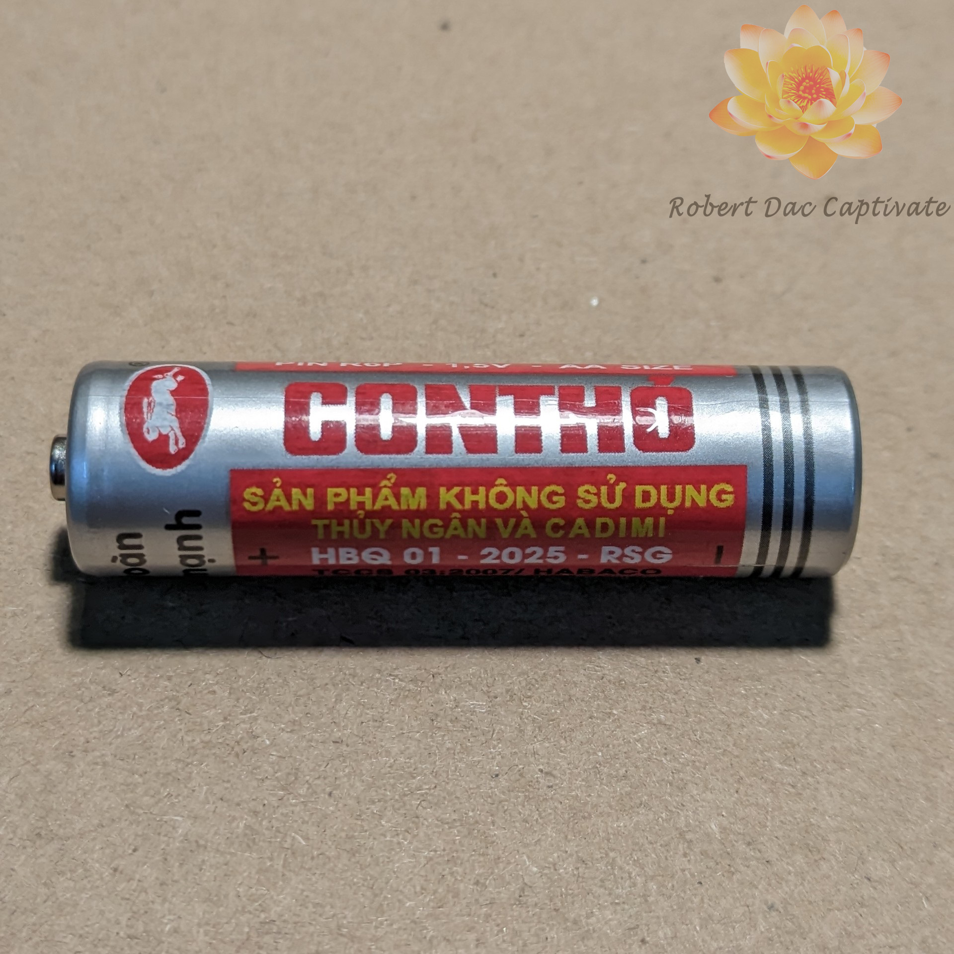 PIN Con thỏ AA 1.5V