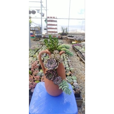Chậu đất nung Bình Dương xẻ miệng 10 x cao 28cm