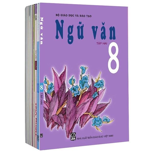 Mua Bộ Sách Giáo Khoa Lớp 8 (2019) - Bài Học (Bộ 13 Cuốn)