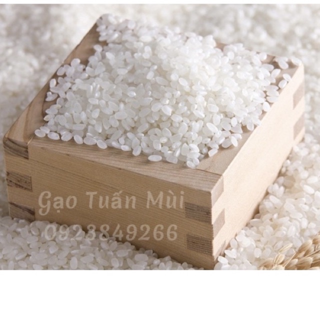 Gạo nhật hạt tròn 10 ký - gạo làm sushi