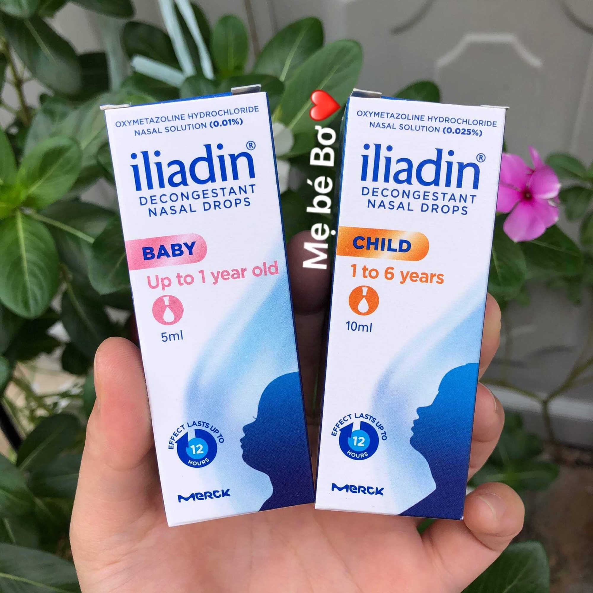 [HCM][Freeship + Combo mua 2 giảm 5% + Voucher]Nhỏ mũi Iliadin 5ml mẫu mới