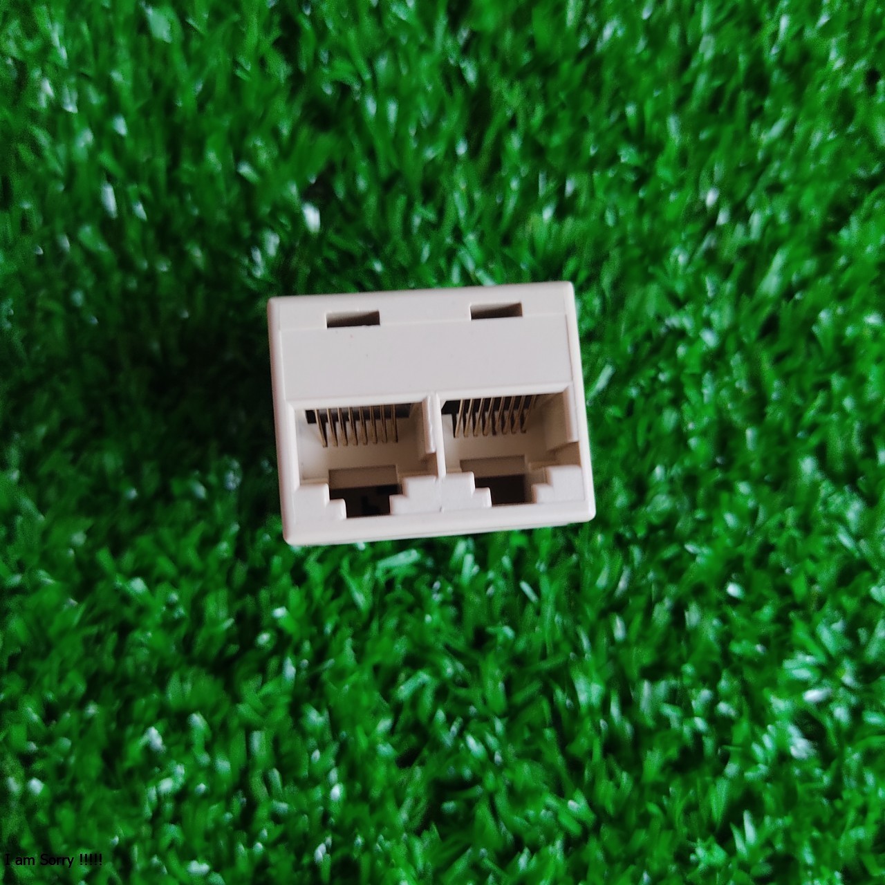 Đầu nối dây mạng cổng 1 ra 2