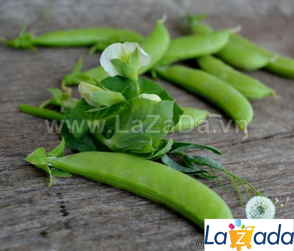 Bộ 5gói 5gr hạt giống đậu hà lan leo siêu ngon sugar snap