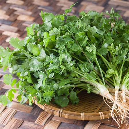 Combo 9 gói hạt giống rau thơm dễ trồng
