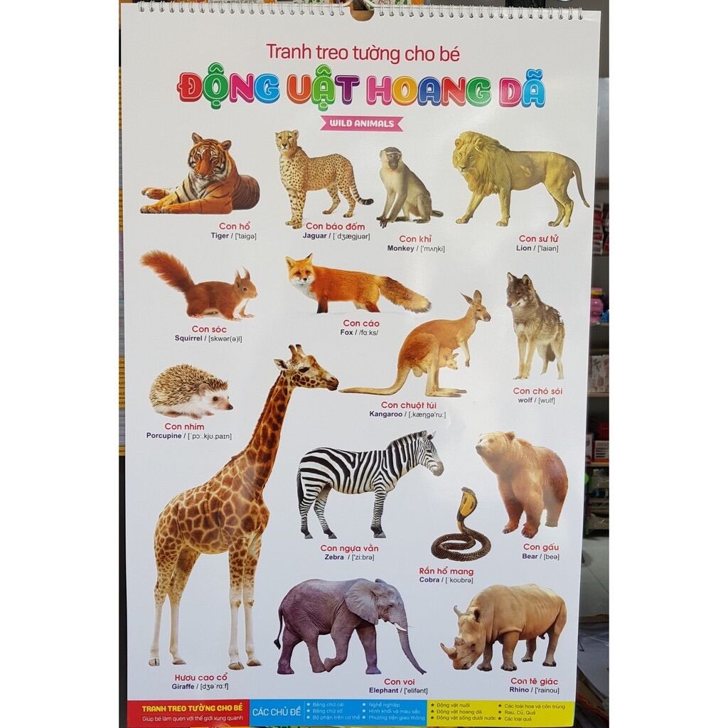 Tranh treo tường 14 chủ đề cho bé
