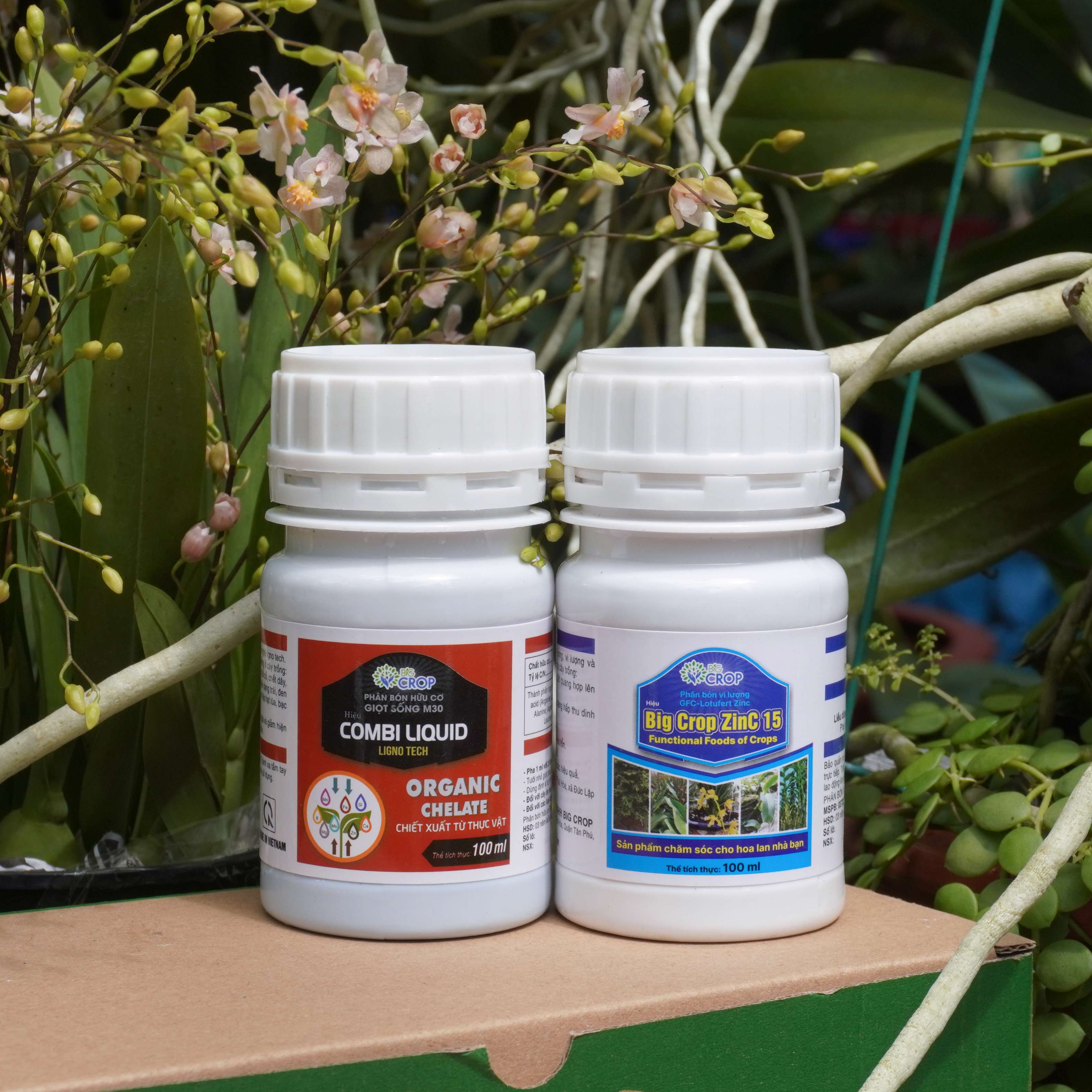 COMBO8 100 - Phân Bón Chăm Hoa Lan, Cây Cảnh Ở Mọi Giai Đoạn (100g/ml/chai)