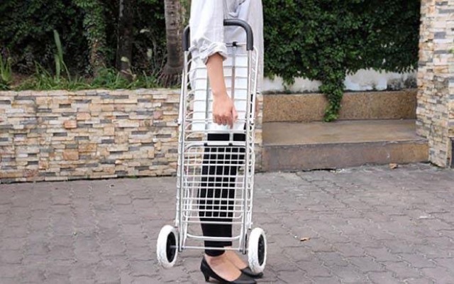 Xe Đẩy Inox Đi Chợ