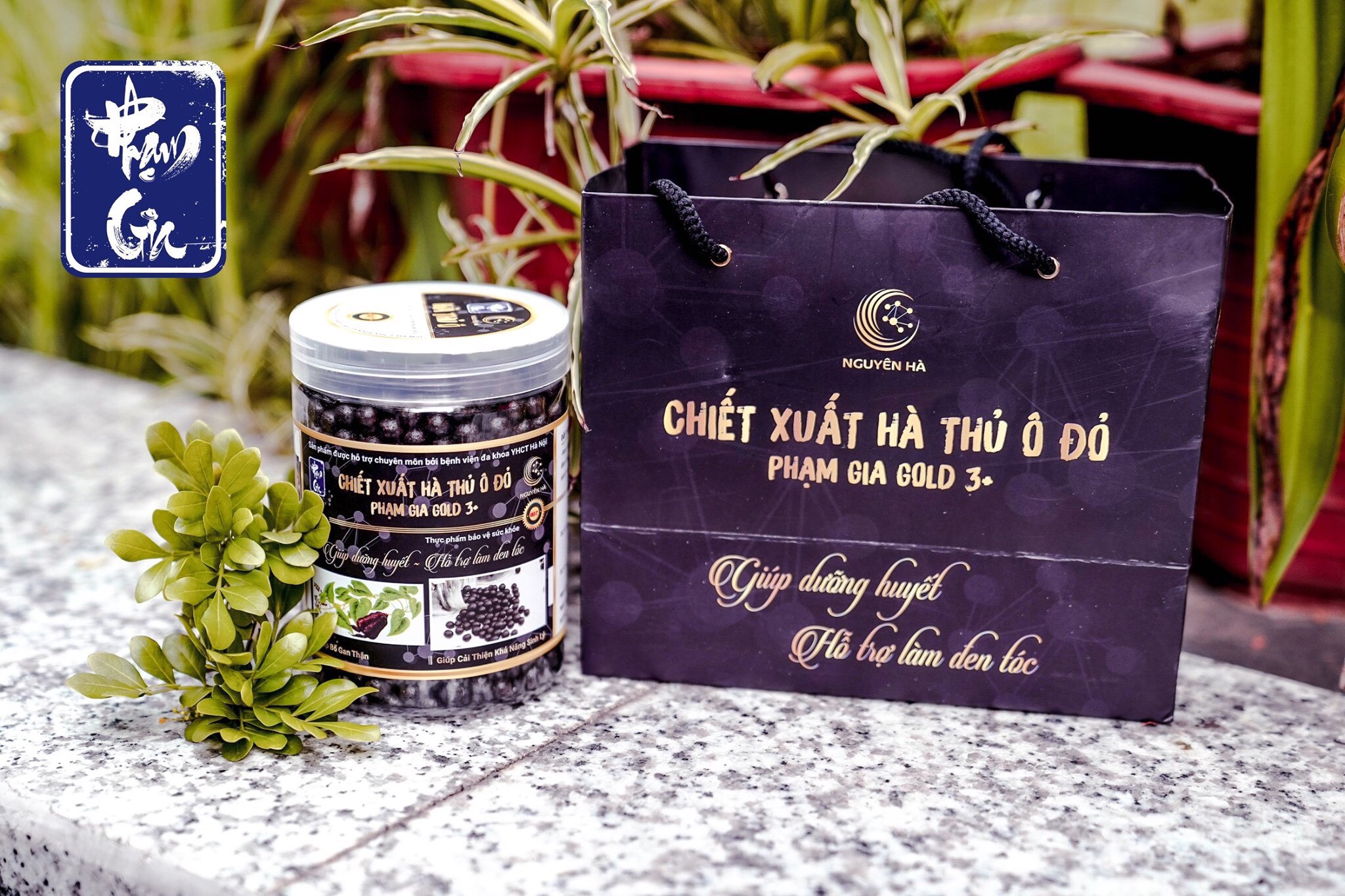 Hà Thủ Ô Đỏ Phạm Gia Gold 3+