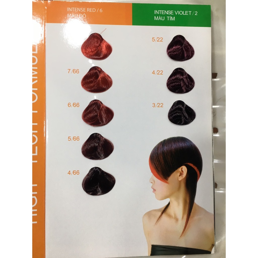 Oxy nhuộm tóc everflor 100ml