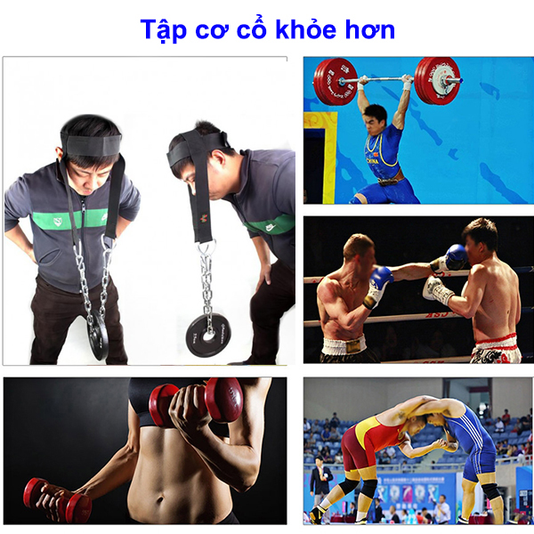Đai Xích Treo Tạ Tập Cơ Cổ Head Harness Dùng Trong Thể Thao, Boxing Chuyên Nghiệp